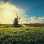 pexels-tom-swinnen-952632